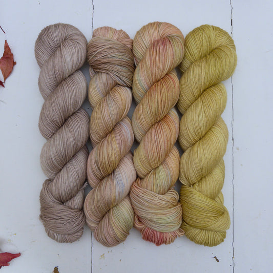 four skein fade – pightle | fingering/4ply – yarn pack – autumn light