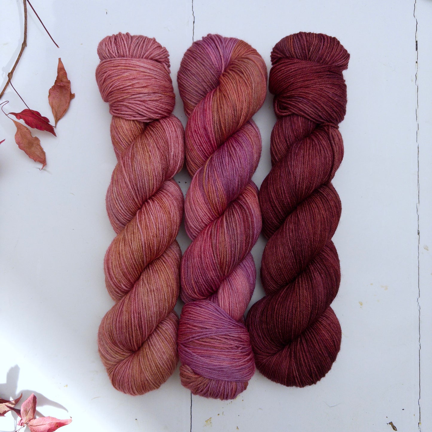 three skein fade – pightle | fingering/4ply – yarn pack – autumn blooms